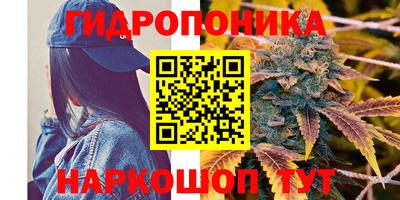 дмт Краснодар