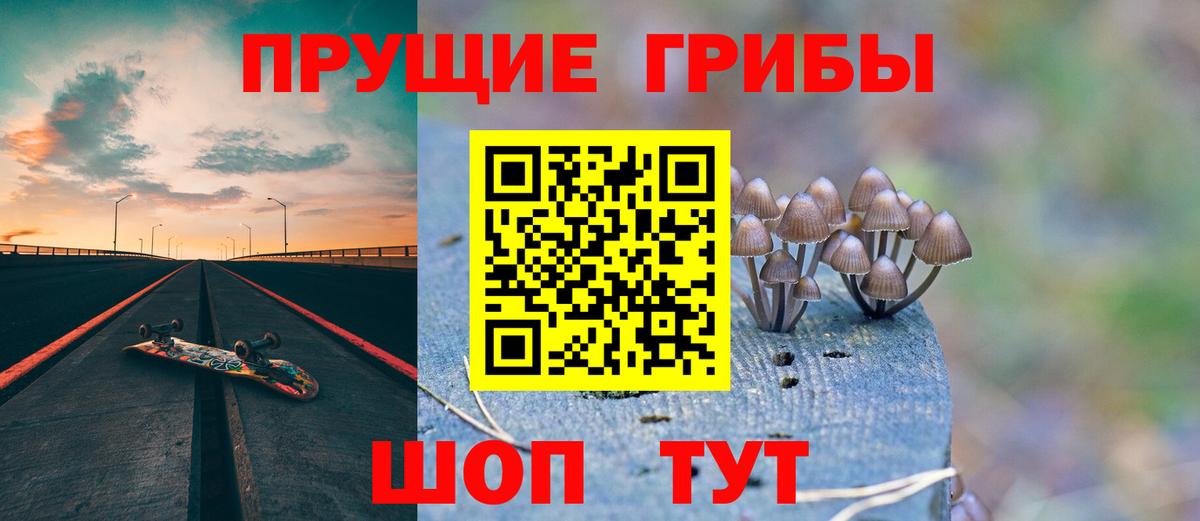 Королёв  Галлюциногенные грибы Psilocybine cubensis  Галлюциногенные грибы мицелий  Вход с VPN 
