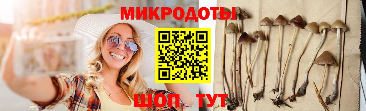 Галлюциногенные грибы мицелий Королёв
